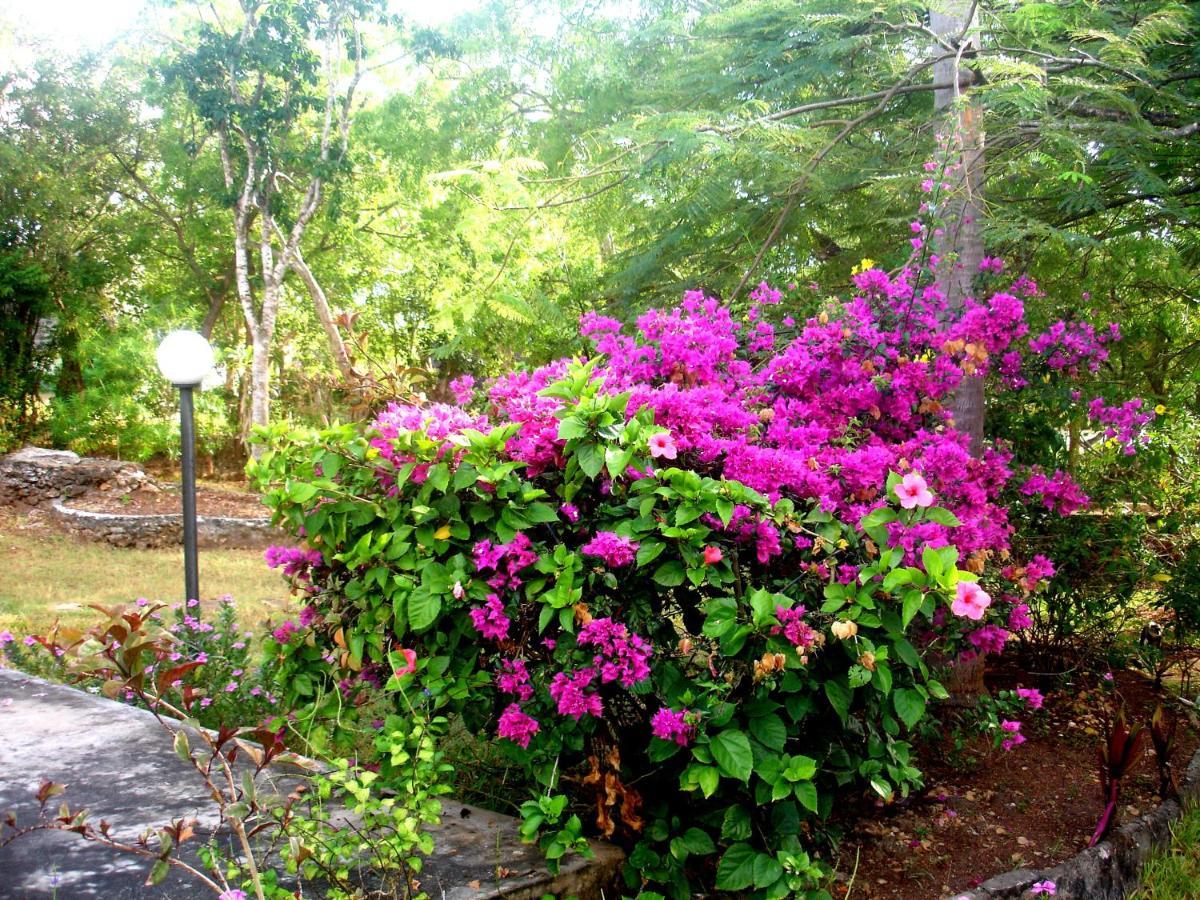 Diani Beachalets Chalet